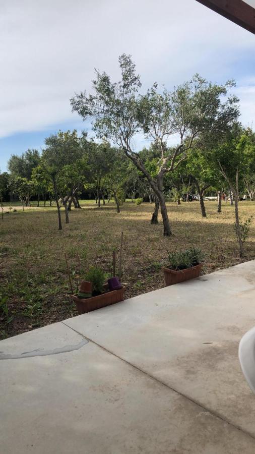 Villa Fleming 46 Alghero Exterior foto